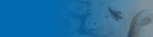 Pig Gradient Header