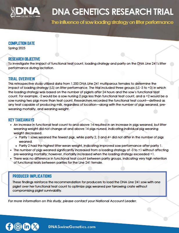 Sow Loading Strategies