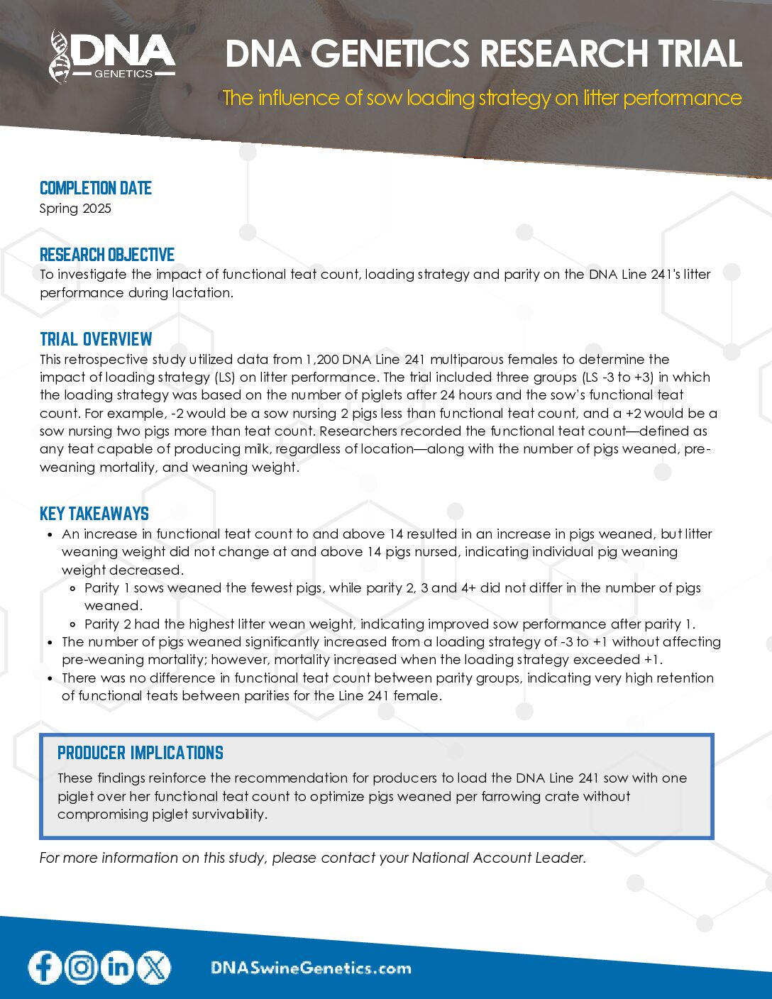 Loading Strategies_FINAL