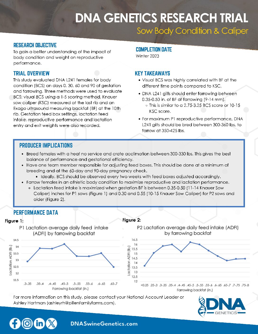 Sow body condition & caliper - FINAL